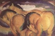 Little Yellow Horses (nn03)